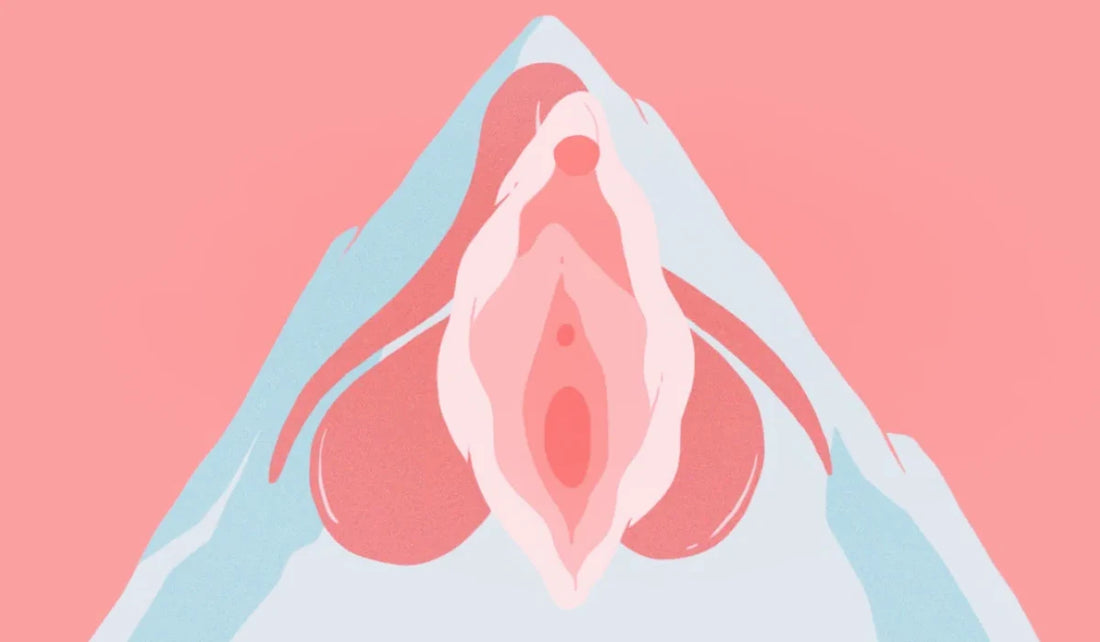 Vagina