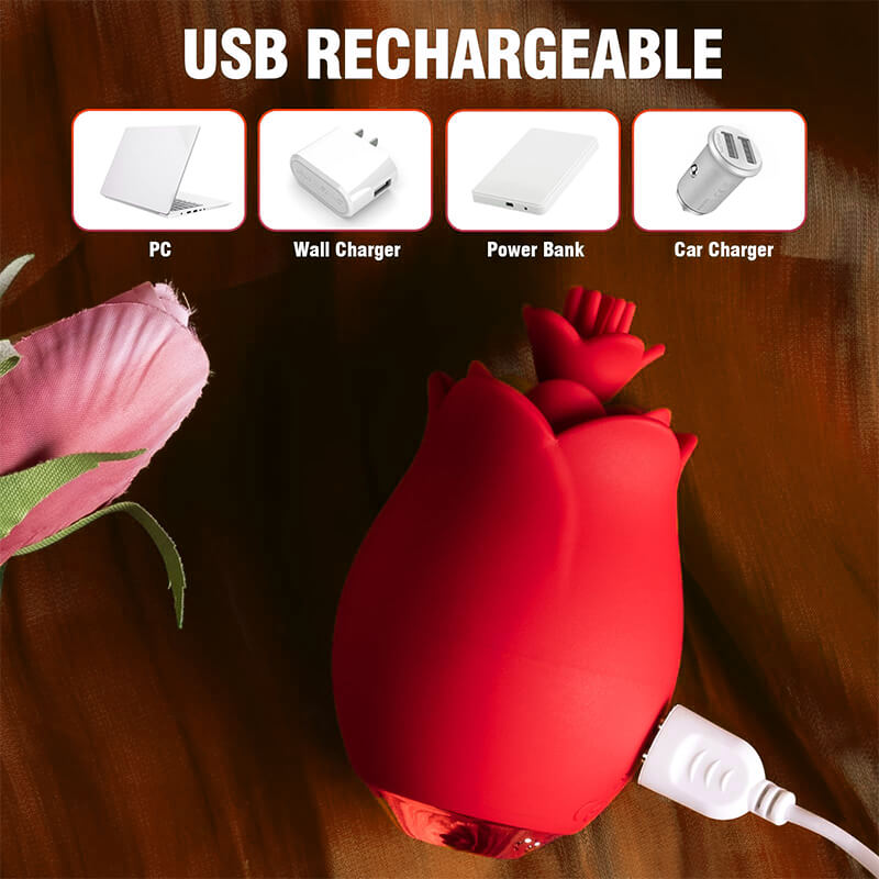 3-in-1_Rose_Pleasure_Vibrator5